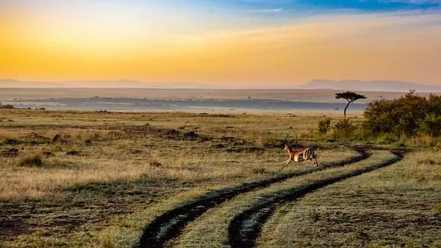 Comment choisir votre destination d'aventure responsable