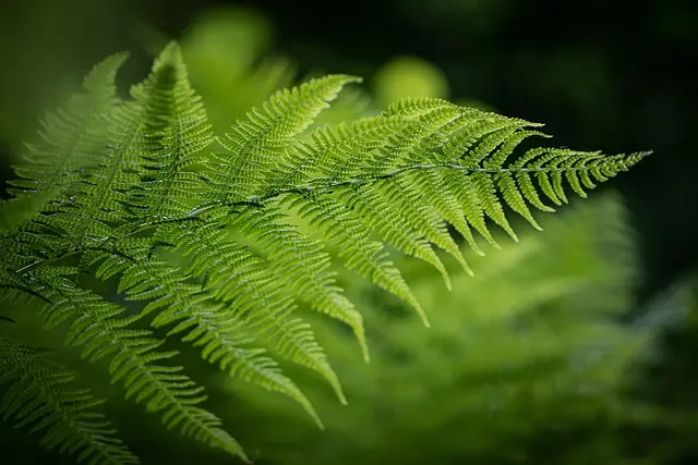 10 Secrets pour un Voyage Écoresponsable Inoubliable