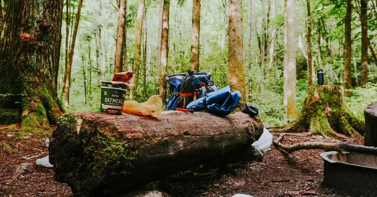 Comment choisir un équipement écoresponsable pour voyager durablement