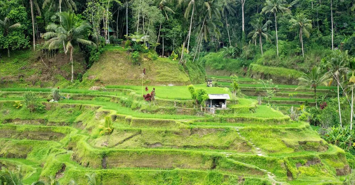 Les secrets d'un voyage écoresponsable réussi