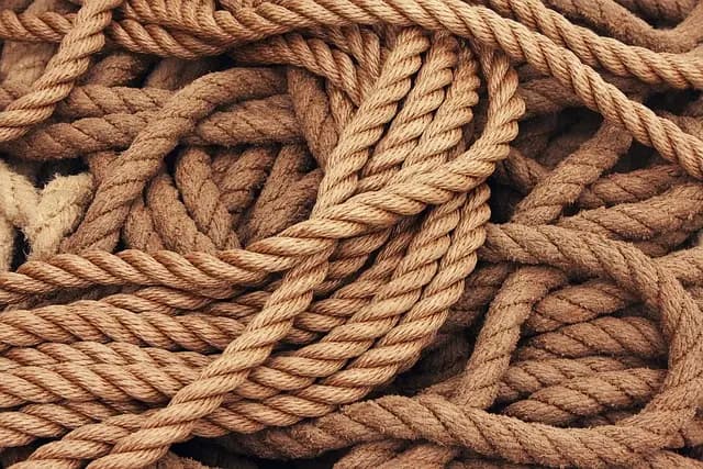 Comment organiser un voyage écoresponsable : les étapes clés