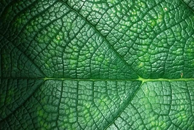 Comment préparer un voyage écoresponsable réussi