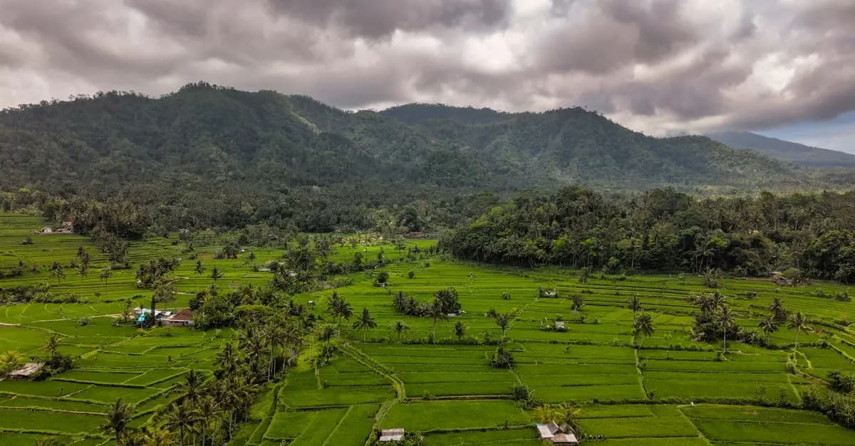 Globe Explore : Les Meilleures Destinations Pour Voyager Écoresponsable