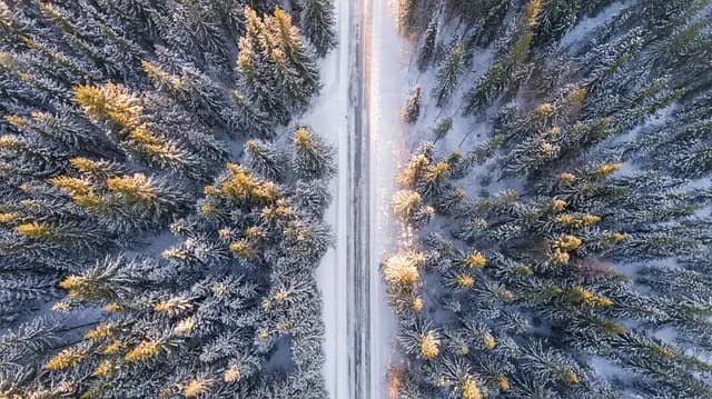 Comment préparer un voyage écoresponsable sans stress