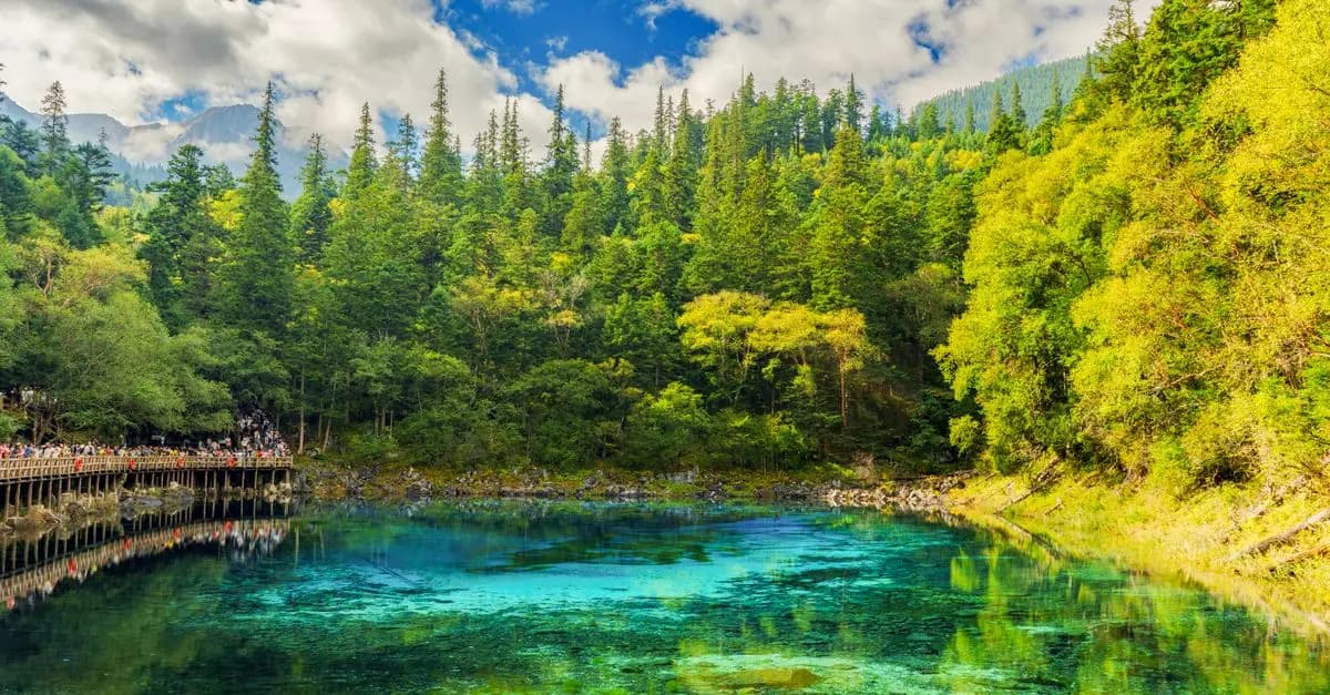 Les Meilleures Destinations Écoresponsables à Explorer