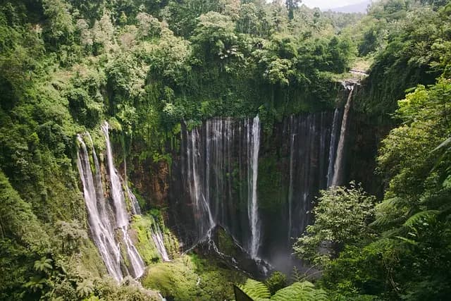 Comment choisir la meilleure destination écoresponsable pour vos voyages