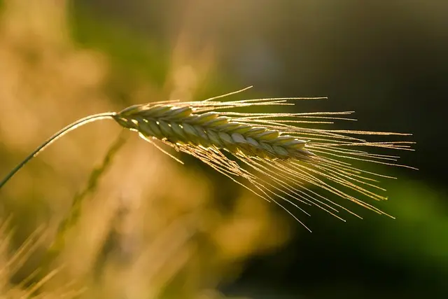 Comment photographier les merveilles naturelles en voyage