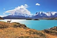 Rendez-vous en Patagonie