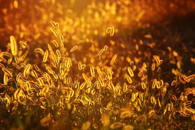 Comment photographier les merveilles naturelles en voyage