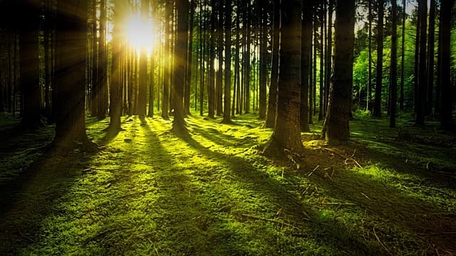 Comment voyager de manière responsable : 10 conseils pratiques