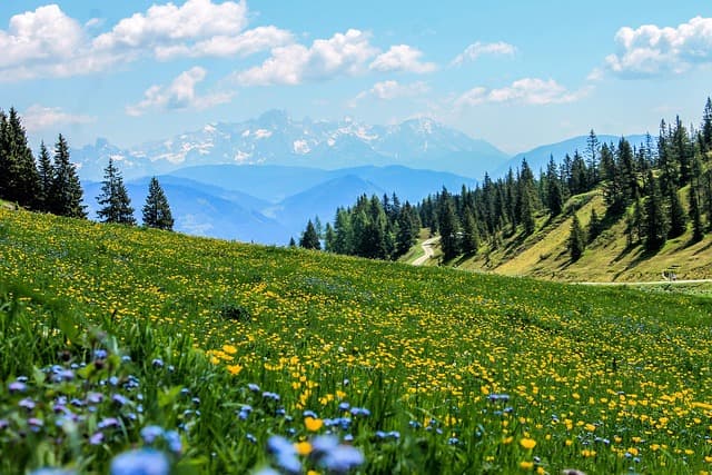 Voyager au ralenti : comprendre le slow travel
